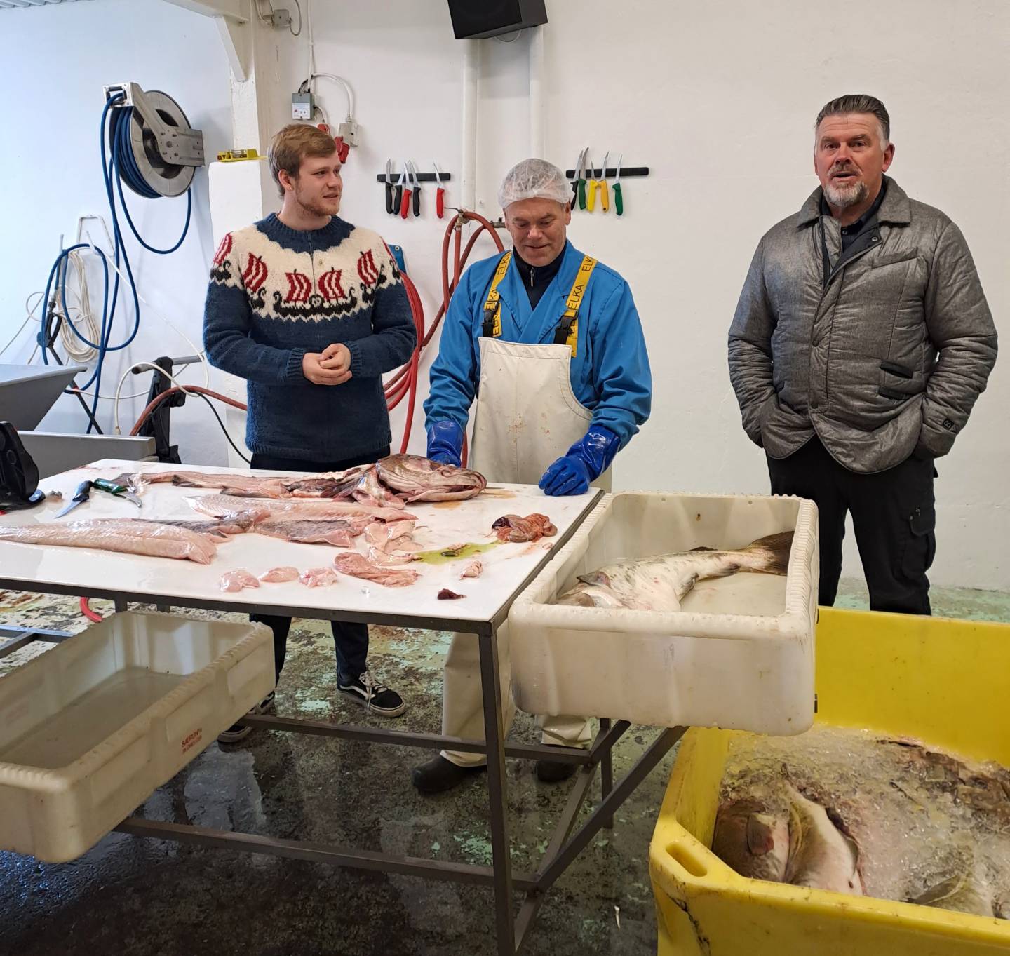 På besøk hos Ektafiskur på Hauganes i Eyjafjörður - 